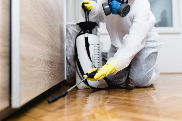Best Pest Prevention Services  in Mar Mac, NC