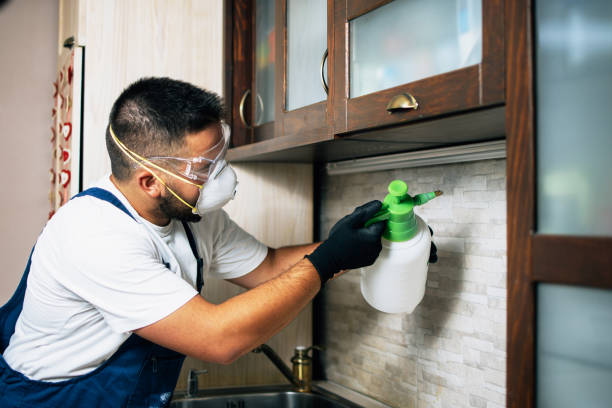Best Pest Control Near Me  in Mar Mac, NC
