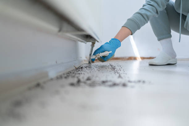 Best Rat Extermination Near Me  in Mar Mac, NC