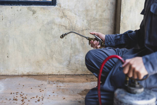Best Wasp Removal Services  in Mar Mac, NC